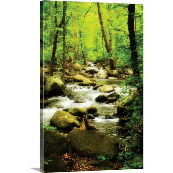 Great BIG Canvas | "White Oak River I" Canvas Wall Art - 24x36