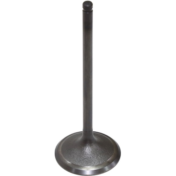 Bronco Intake Valve