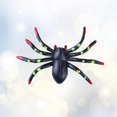 thumbnail image 4 of 20pcs Spider Toy Jungle Animal Spider Realistic Plastic Spiders Big Size Hallowe, 4 of 5