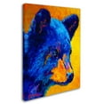 thumbnail image 2 of Trademark Fine Art 'Black Bear Cub 2' Canvas Art by Marion Rose, 2 of 3