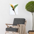 thumbnail image 2 of Single Bird Paradise Flower Stem With Orange Bloom Unframed Wall Art Print Poster Home Decor, 2 of 3