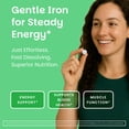 thumbnail image 4 of EZ Melts Iron - Supplement for Daily Energy & Iron Support - With Vitamin C - No Artificial Flavors - Non-GMO & Vegan - Zesty Orange - 90 Dissolvable Tablets (90 Servings), 4 of 10