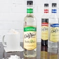 thumbnail image 1 of DaVinci Gourmet 750 mL All Natural Coconut Flavoring Syrup, 1 of 2