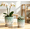 Green ,White, variant on Mdj Pottery 2-Pack Green & White Ceramic Planters, 5.51-7.48 in Orchid Plant Pots with Drainage Holes and Saucers Indoor Outdoor