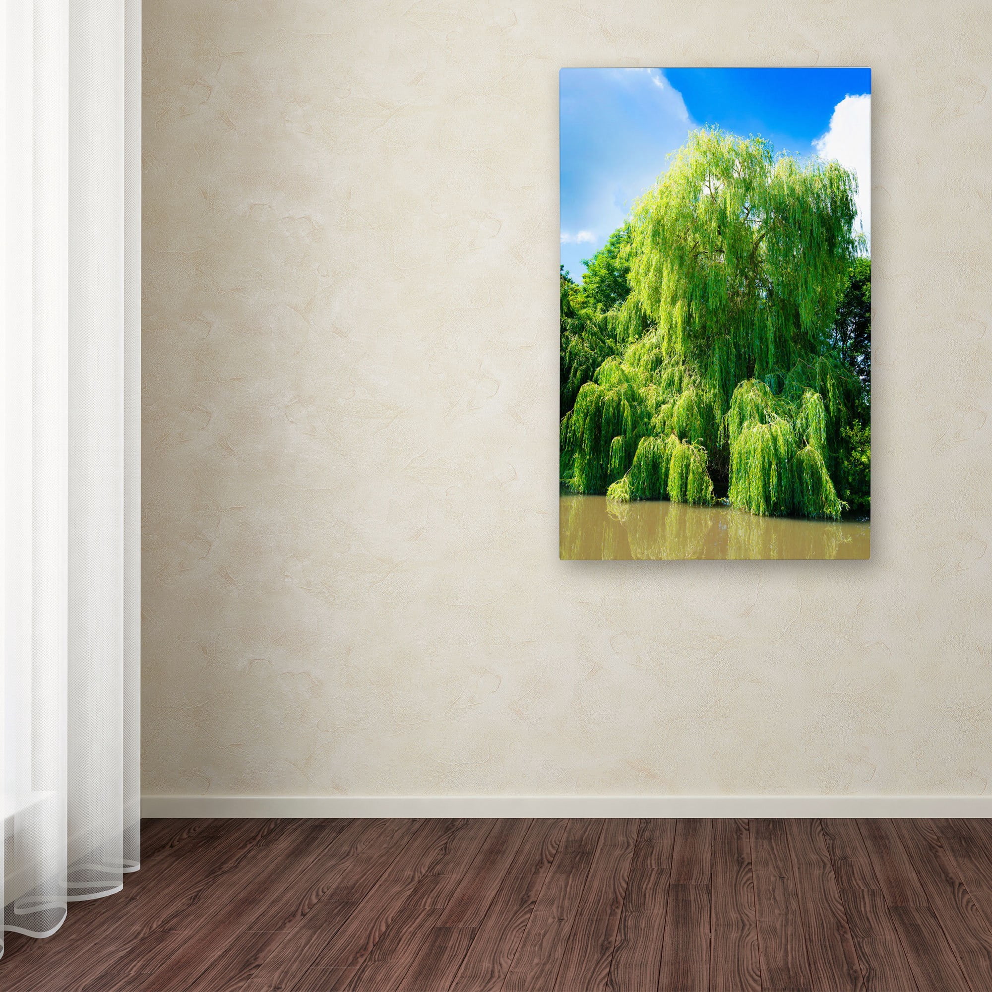Trademark Fine Art "Weeping Willow" Canvas Art by Philippe Sainte-Laudy