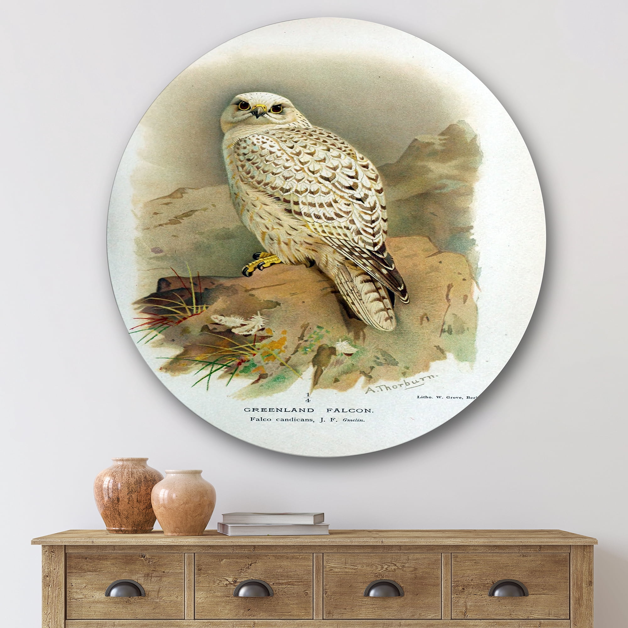 Designart 'Ancient Bird Life VII' Traditional Circle Metal Wall Art 36x36 - Disc of 36