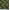 Dark Olive Green, variant on Soimoi Cotton Duck Fabric Artistic Floral Print Sewing Fabric Yard 42 Inch Wide