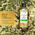 thumbnail image 3 of Shampoo Herbal Essences Bio:Renew Chamomile 400 ml, 3 of 5