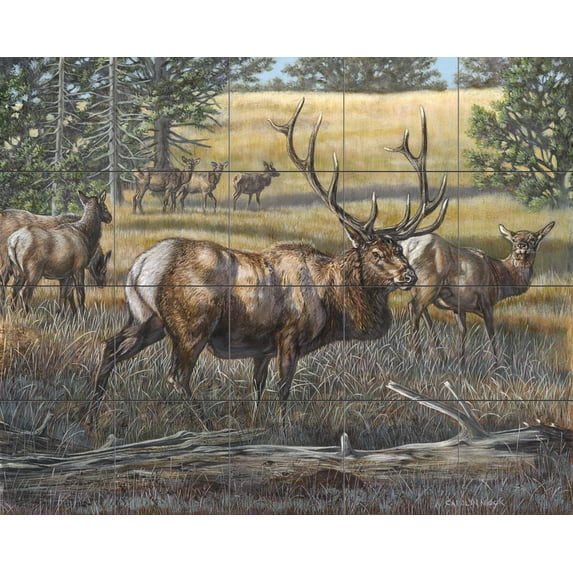 Tile Mural Kitchen Backsplash - His Majesty-CM - by Carolyn Mock