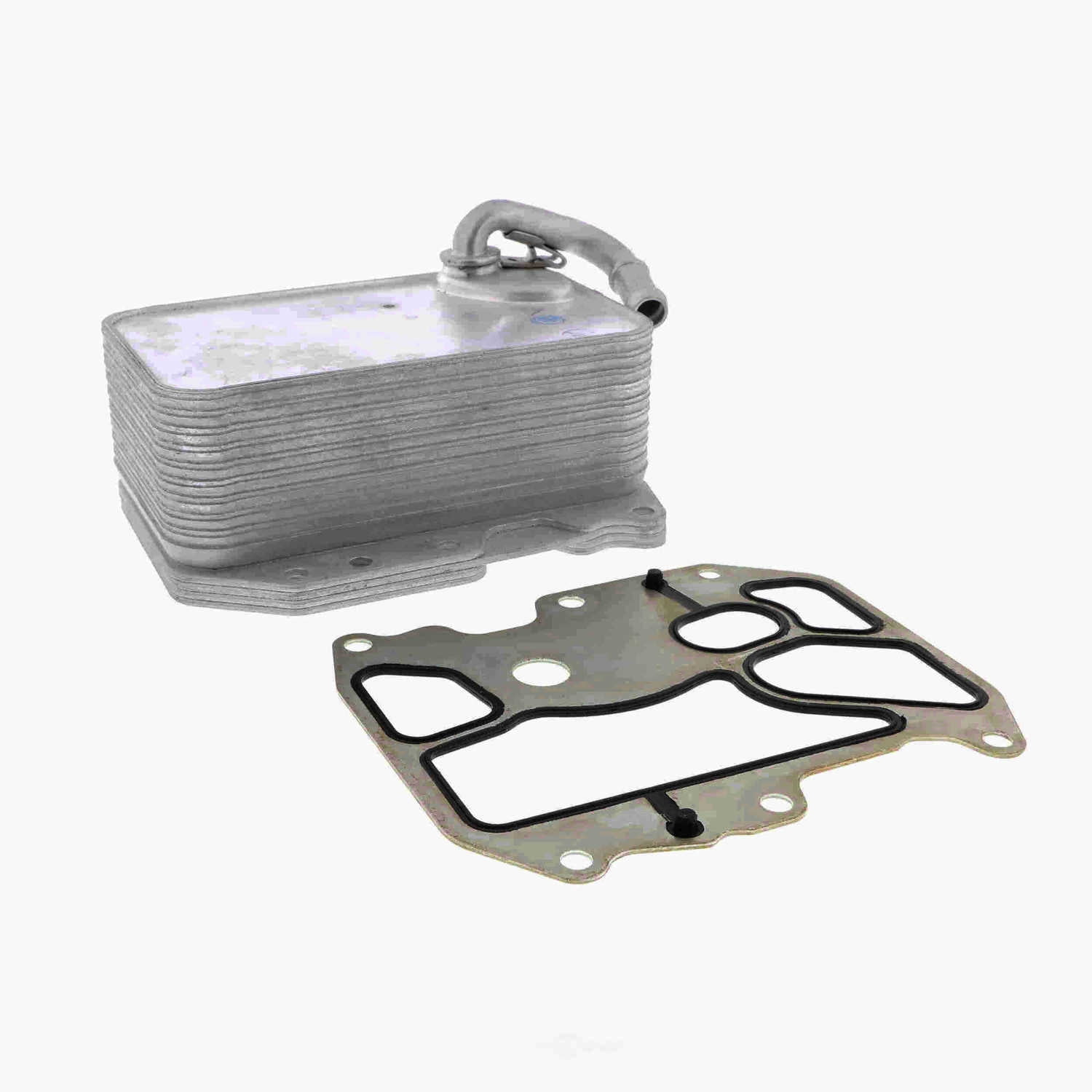 VEMO V15-60-6075 Oil Cooler, engine oil