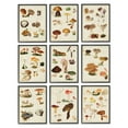 thumbnail image 2 of Stupell Industries Various Rustic Mushrooms Vegetal Nature Study Diagram Framed Wall Art, 11 x 14, Design by Vision Studio, 2 of 5