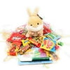 Prefilled Easter Gift Bag For Kids With Fun Plush, Candy, And More (Bunny)