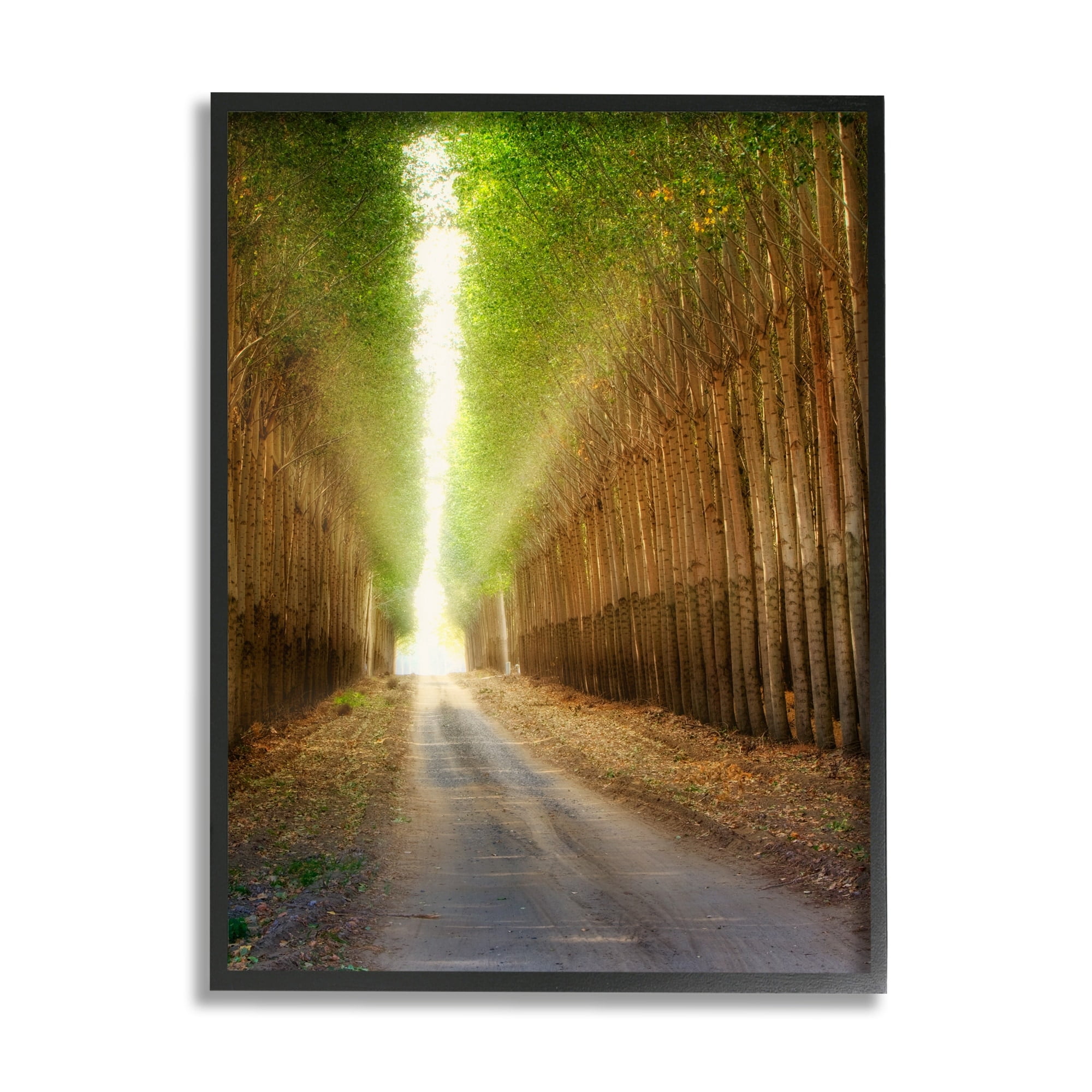 Stupell Industries Sunlit Tree Grove Pathway Landscape Photography Gray Framed Art Print Wall Art