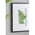 thumbnail image 4 of Botanical Fern Wall Art - Black, White, 4 of 5