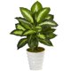 thumbnail image 1 of Planta Artificial Dieffenbachia Casi Natural En Macetero En Forma De Remolino, 1 of 5