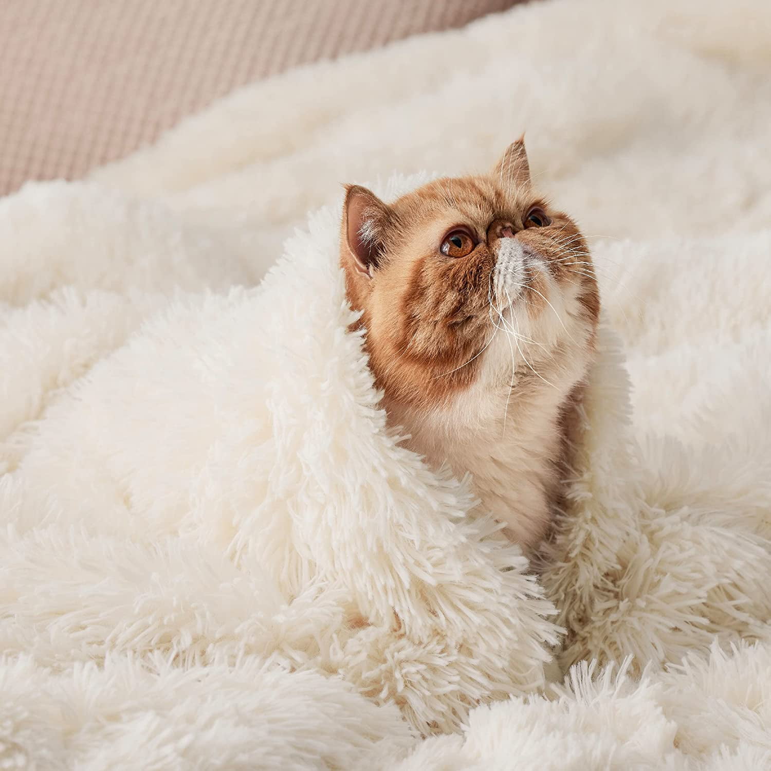 Bedsure Faux Fur Cream Throw Blanket Fluffy Shaggy 50x60 Inches Walmart