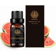 thumbnail image 1 of 100% Pure Watermelon Essential Oil for Humidifier, 0.33oz-10ml Aromatherapy Oil for Diffuser and Candle Making, 1 of 7