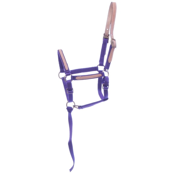 Tough 1 Miniature Nylon Break-Away Halter, Purple, Large