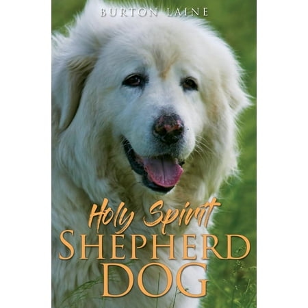 shepherd holy spirit dog other