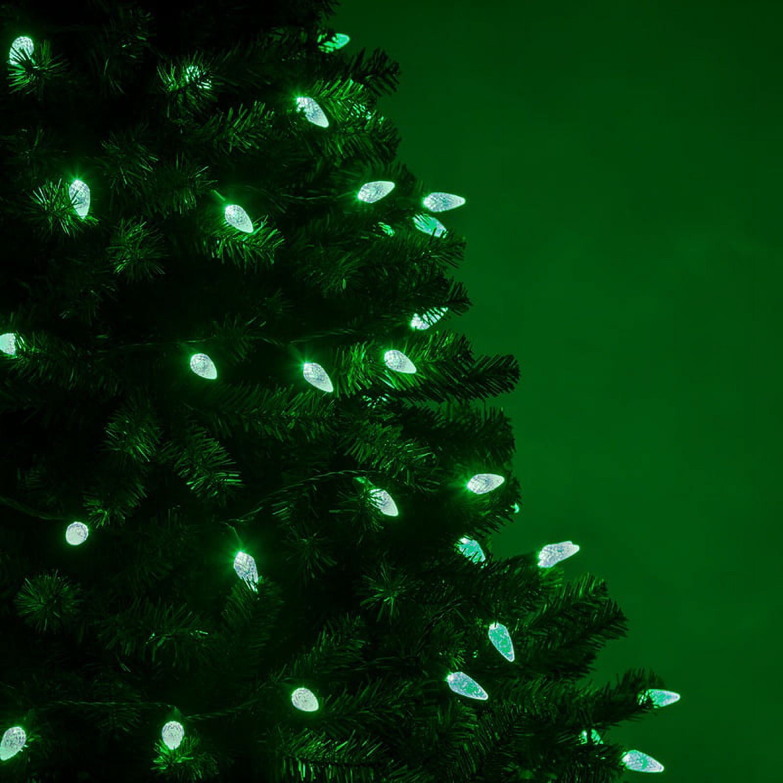 Wintergreen Lighting C6 Green Christmas Lights LED String Lights, Set of 70 Lights on Green Wire, 24 Ft - Indoor/Outdoor Lighting