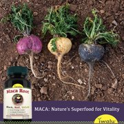 iwalu Organic Maca Root Capsules | Peruvian Black, Red, Yellow | Supports Energy, Endurance, Hormone Balance - 60 Vegan Capsules | NSF Certified & USA Made