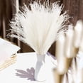 thumbnail image 2 of 50Pcs Dried Pampas Grass Large Reed Plumes Natural Dried Flower Plants Phragmites Communis Bouquets Stems for Home Wedding Arrangements Vase Wreath Farmhouse Décor 17 Inch, 2 of 4