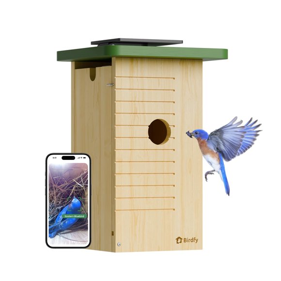 Casita para pájaros Birdfy con cámara solar 1080HD y visión nocturna