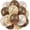 Brown, variant on 36 Pcs Cheetah Balloons Leopard Print Balloons 12 Inch Spots Latex Leopard Jungle Animal Decorations for Cheetah Zoo Theme Birthday Party Supplies (Gold,Black)