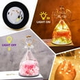 thumbnail image 7 of iMucci Valentines Day Gifts for Her, Pink Preserved Rose in Glass Angels Figurines with LED Light, Valentines Flowers Birthday Gifts for Women, Forever Rose Gift for Mom Wife Girlfriend Grandma, 7 of 7