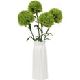 thumbnail image 2 of 4Pcs Fake Dianthus Artificial Greenery Stem Realistic Green Tricks for Home Kitchen Wedding Courtyard Decoration (Dark Green), 2 of 5