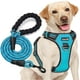 thumbnail image 1 of Arnés para perros TobedRi ajustable reflectante Oxford Blue M, 1 of 5