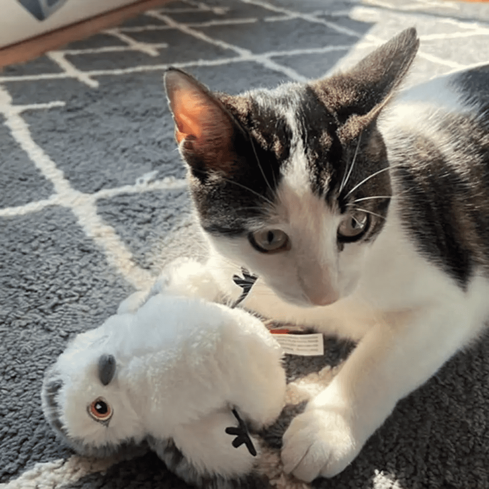 Cute and popular cat toys, simulated birds, touch sensitive cat toys, electric cat teasing, intelligent pet toys