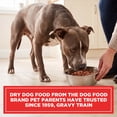 thumbnail image 6 of Gravy Train Beefy Classic Dry Dog Food, 13 lb. Bag, 6 of 11