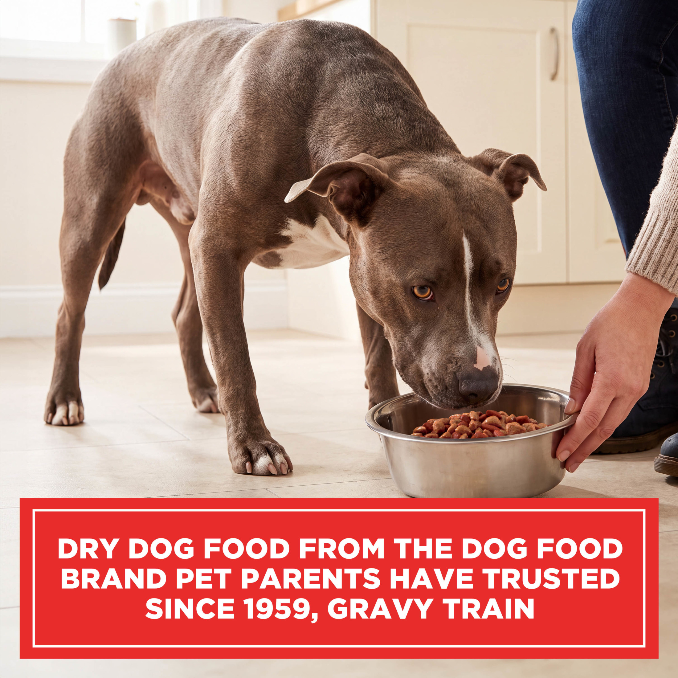 Gravy Train Beefy Classic Dry Dog Food, 13 lb photo 5