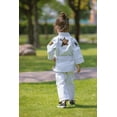 thumbnail image 3 of FLUORY Kids Youth Childrens All Around Brazilian Jiu Jitsu BJJ Gi Animal Bears Embroidery no Belt, 3 of 9