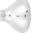 thumbnail image 4 of Adjustable Temperature Breeding Heating Lamp, Infrared Insulating Bulb for Breeding, 220V-240V, 4 of 4