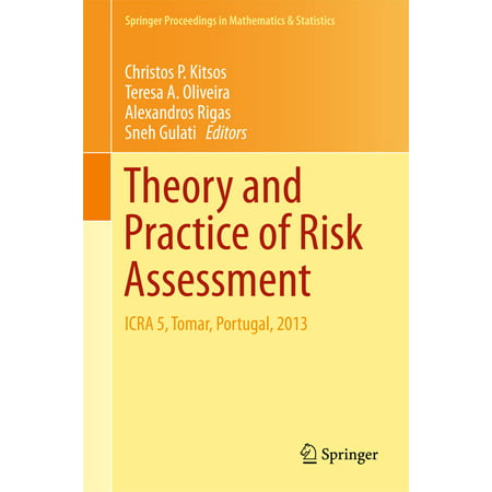 Theory and Practice of Risk Assessment - eBook