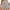 Gray, variant on Diufon Women's Shorts Ealstic High Waist Running Workout Gym Yoga Shorts Solid Color Shorts with Pockets