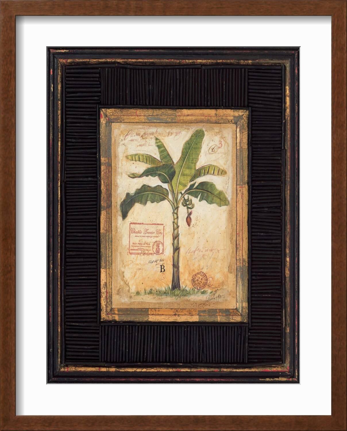 Art.com Banana Palm Art Print by Chad Barrett, White Frame  display picture 1