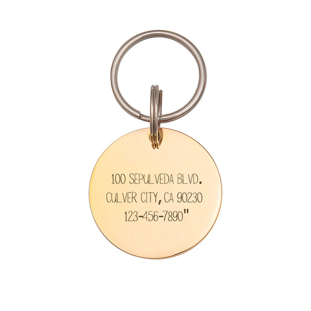 Anavia Stainless Steel Double Sided Round Name - ECG Engraved Dog & Cat ID Tag, Gold, L