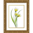 thumbnail image 1 of Disher, Mandy 13x18 Gold Ornate Wood Framed with Double Matting Museum Art Print Titled - Tulipa II, 1 of 4