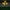 Yellow, variant on Solar Flower Lights Outdoor Solar Flowers Garden Decorative Lights Led Landscapes Stake Lights Auto On/Off Bright Up To 8 Hrs