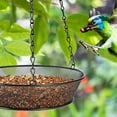 thumbnail image 6 of Teissuly Hanging Bird Feeder Tray, Metal Mesh Platform Feeders for Birds Outside, Seed Tray for Bird Feeders, Outdoor Garden Decoration for Wild Backyard Attracting Birds, 6 of 6