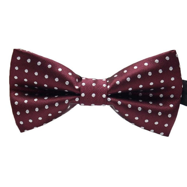 Cravate Formelle à Motif Coloré pour Hommes Adulte Homme Mariage Cravate pour Hommes Colorée Réunion d'Affaires Mariage Nœud Papillon en Fil de Polyester