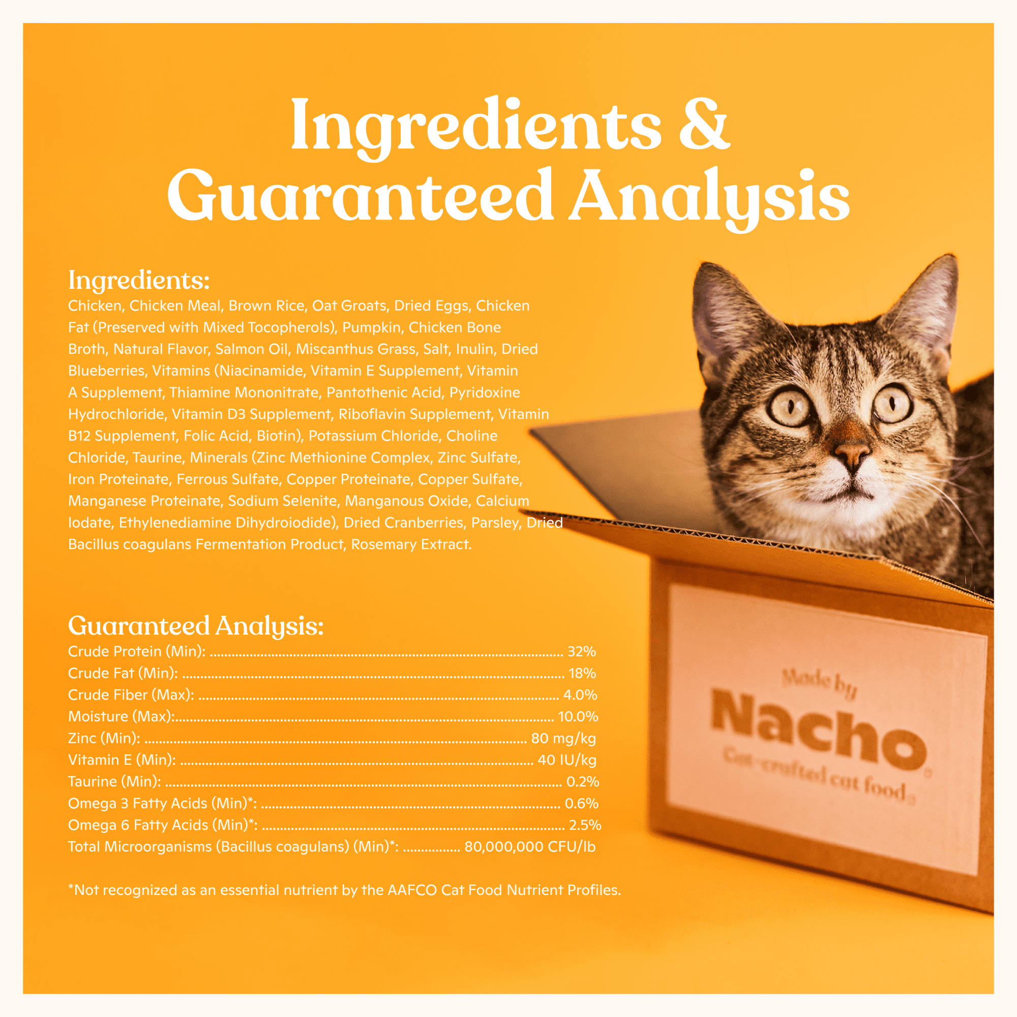 Made by Nacho Dry Cat Kibble, Infused with Bone Broth for Hydration, Sustainably Caught Salmon and Pumpkin, High Protein and Grain-Friendly Premium Cat Food, Limited Ingredients, 7.5lb Bag