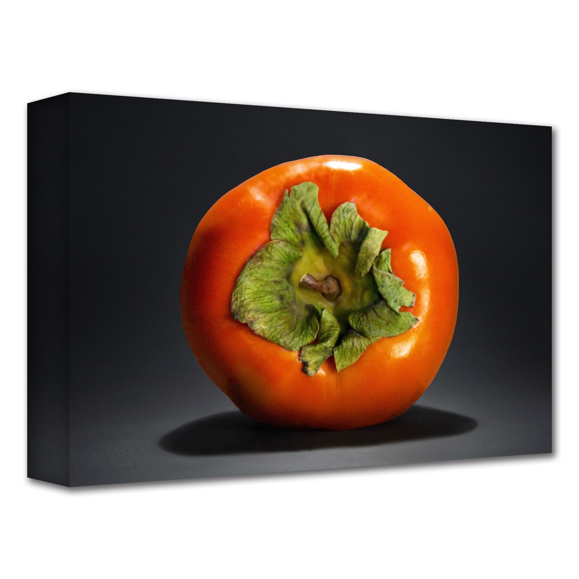Dan Holm "Persimmon" Gallery-Wrapped Canvas