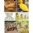 thumbnail image 3 of Set of 4 Reusable Chicken Shoes, Avian Leg Splints for Chicken Feet Durablity Recovery Splints Comfortable Fixation Pet Birds Use Bird Leg Supportly, 3 of 6