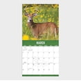 thumbnail image 2 of 2023-12 Month Calendar- Buck Commander 12x12 Hanging Wall Calendar by DaySpring, 2 of 5