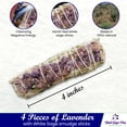 thumbnail image 3 of Varillas de incienso Bholi Sage Plus Sage, paquete de 4, 3 of 8