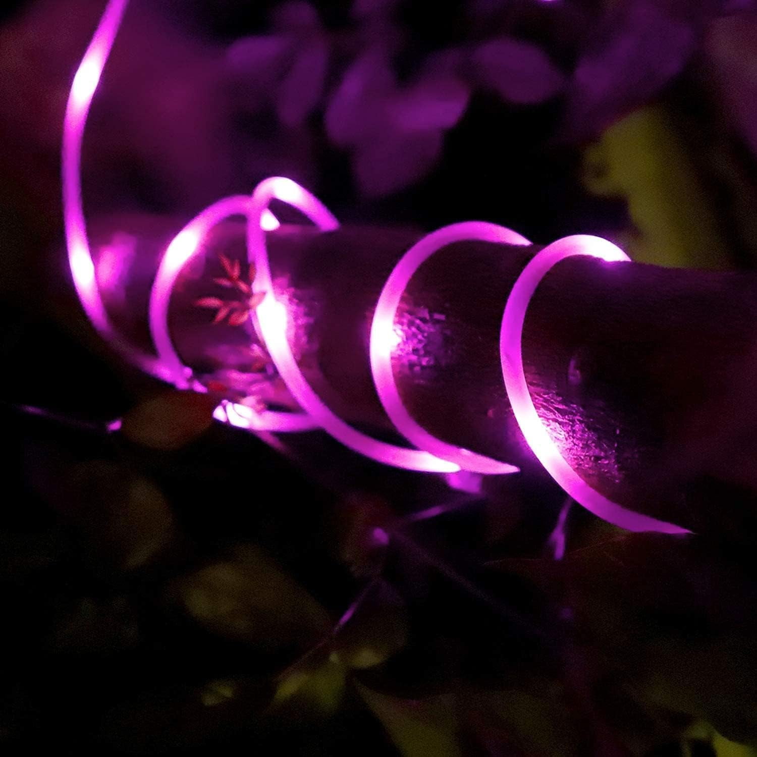 Rope String Lights, 7M/23ft 50LED Waterproof 8 Mode/Remote Battery Christmas Lights,Battery Powered String Lights Outdoor Indoor for Christmas Decorations